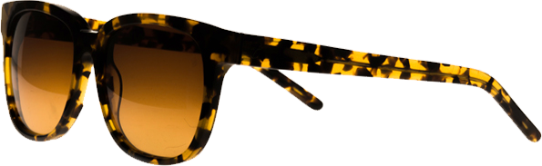 Stylish glasses